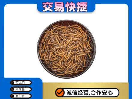 安顺回收散虫草